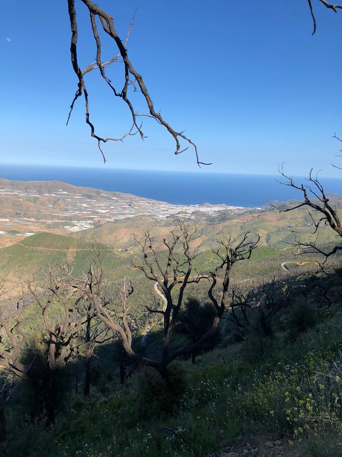Pensjonat Cortijo Sancardo Lujar Zewnętrze zdjęcie